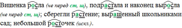 Изображение Спишите, обозначьте изучаемую орфограмму.    Вишенка р..ела, подр..стала и наконец выр..сла; сберегли р..стение; выращенный школьниками сад; небольшой р.....