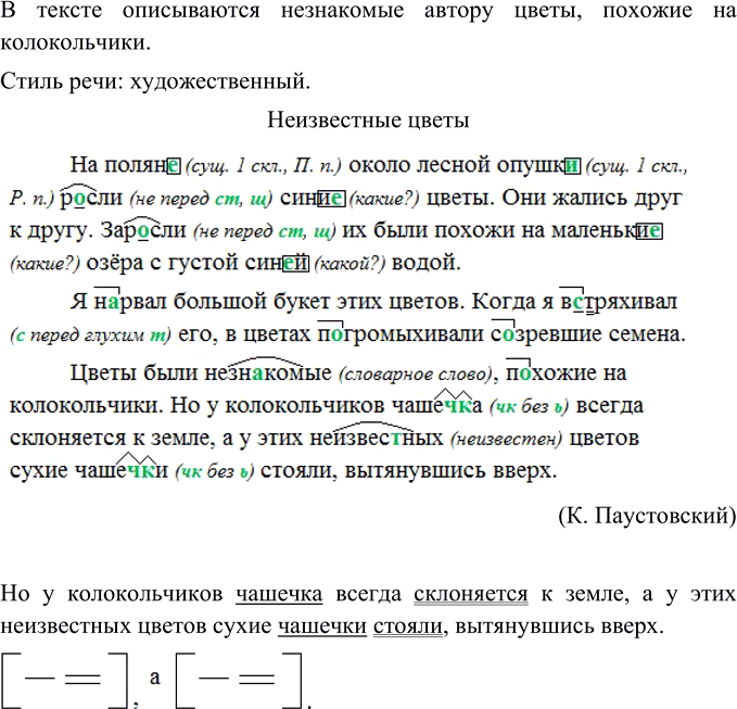 Изображение Что описывается в тексте, приведённом на с. 46? Определите его стилистическую принадлежность....