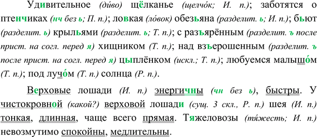 Изображение Диктант. Обозначьте падеж имён существительных. ^ Укажите, какими членами предложения...