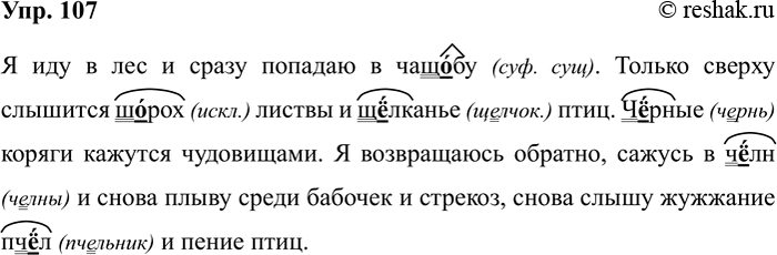Изображение Упр.107 ГДЗ Рабочая тетрадь Разумовская 5 класс