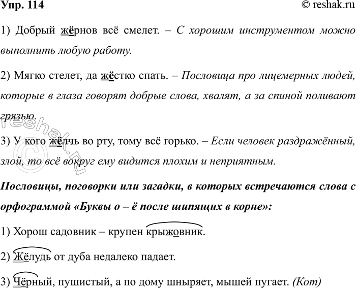 Изображение Упр.114 ГДЗ Рабочая тетрадь Разумовская 5 класс