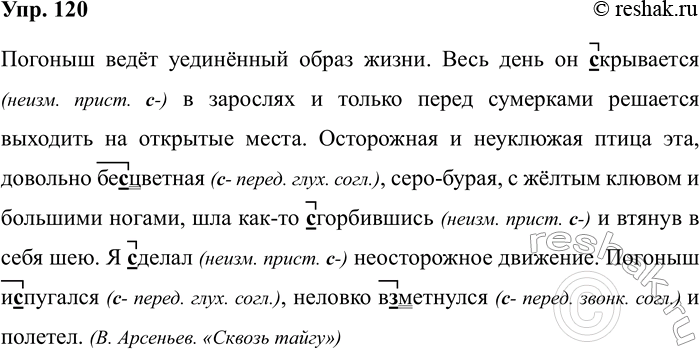 Изображение Упр.120 ГДЗ Рабочая тетрадь Разумовская 5 класс
