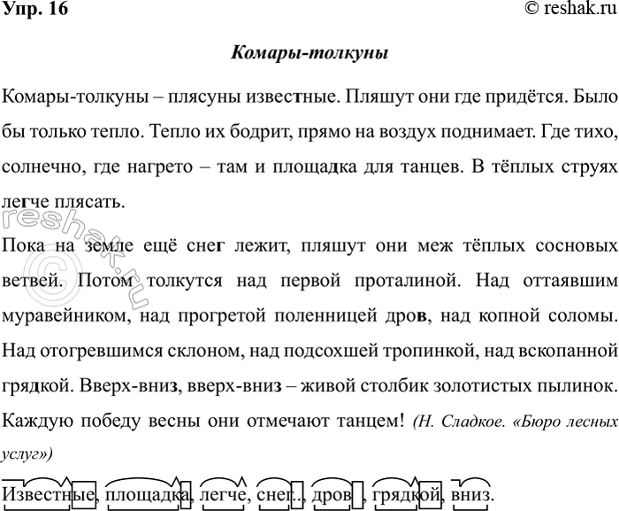 Изображение Упр.16 ГДЗ Рабочая тетрадь Разумовская 5 класс