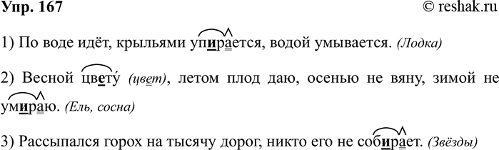Изображение Упр.167 ГДЗ Рабочая тетрадь Разумовская 5 класс