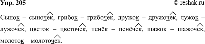 Изображение Упр.205 ГДЗ Рабочая тетрадь Разумовская 5 класс