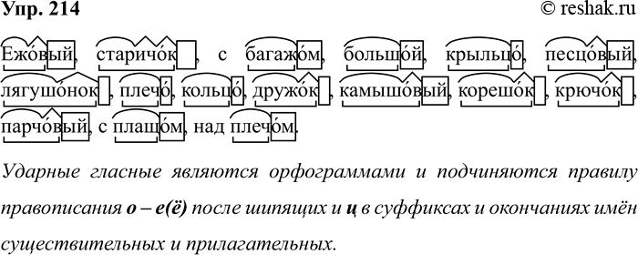 Изображение Упр.214 ГДЗ Рабочая тетрадь Разумовская 5 класс