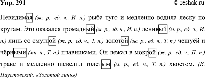 Изображение Упр.291 ГДЗ Рабочая тетрадь Разумовская 5 класс
