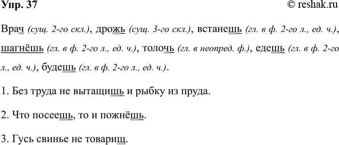 Изображение Упр.37 ГДЗ Рабочая тетрадь Разумовская 5 класс