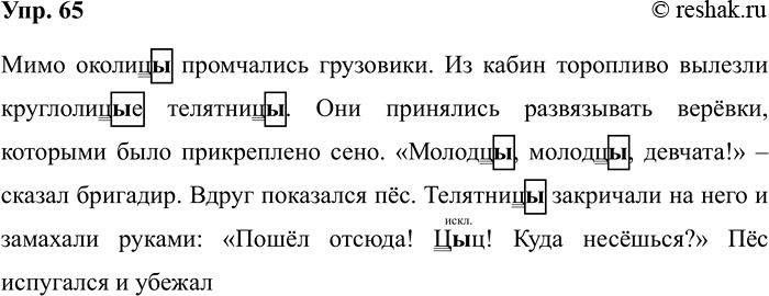 Изображение Упр.65 ГДЗ Рабочая тетрадь Разумовская 5 класс