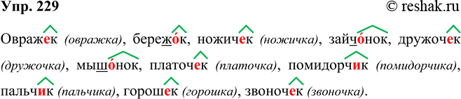 ����������� ���.229 ����� 2 ��� ���������� ������������ 5 �����