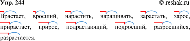 ����������� ���.244 ����� 2 ��� ���������� ������������ 5 �����