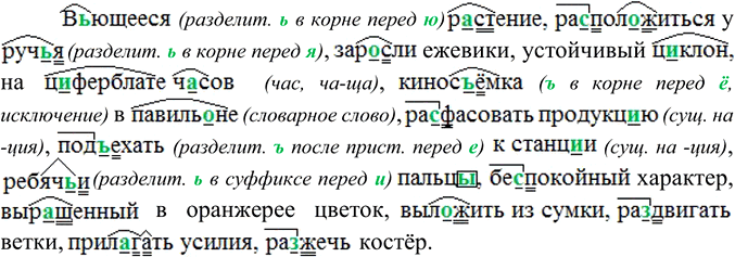 Изображение Диктант. Графически обозначьте вставленные орфограммы.  Вьющееся растение, расположиться у...