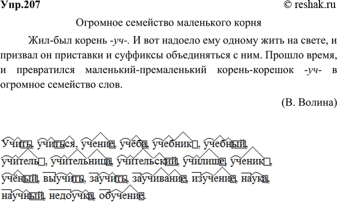 Русский язык упр 207