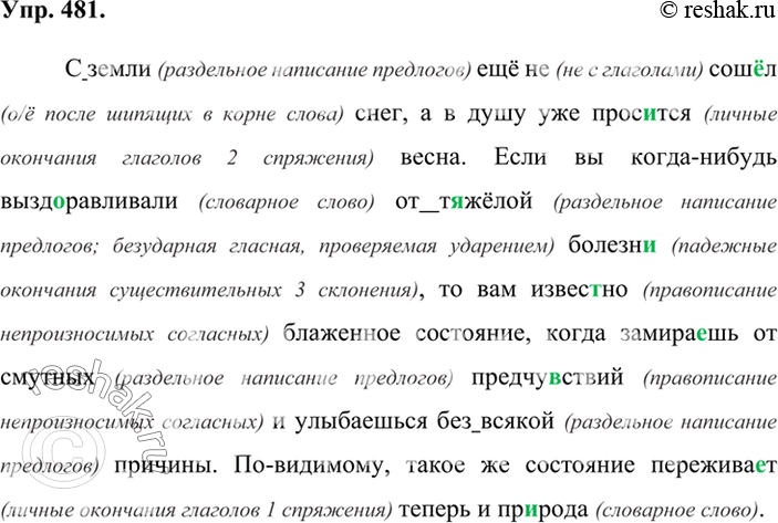 Русский стр 18 упр 481