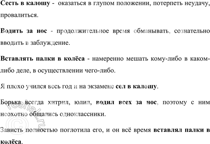 Предложение с фразеологизмом сел в калошу