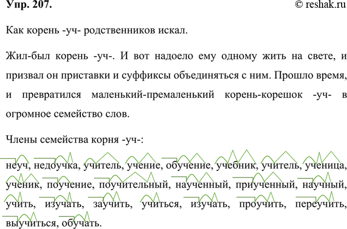 Русский язык упр 207