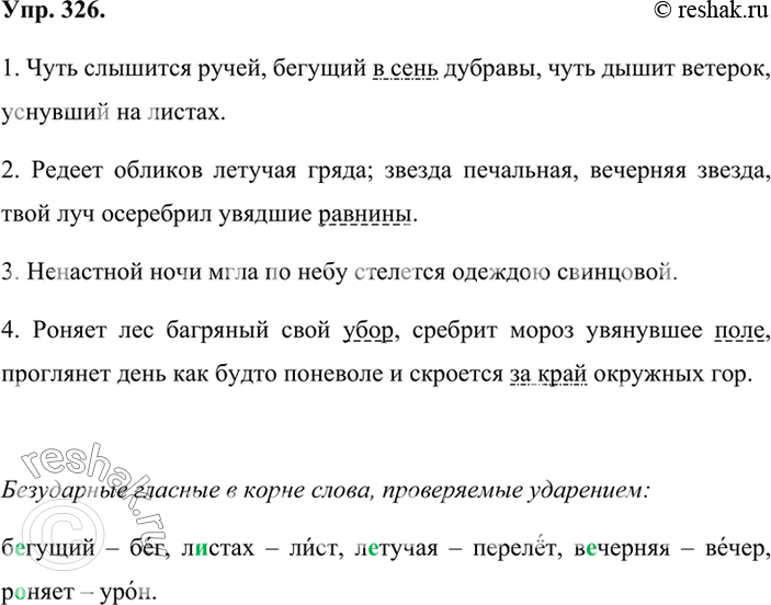 Чуть слышится ручей бегущий в сень дубравы