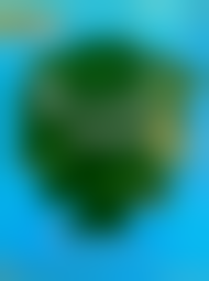 ����������� �������� �� �������� �������� �������� 6 �����