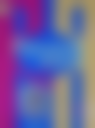 ����������� �������� �� �������� ���������� ������������ 6 �����