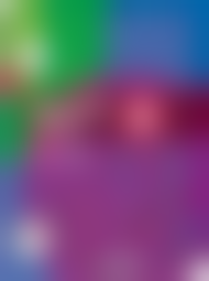 ����������� �������� �� �������� ����� ����� ���������� 6 �����