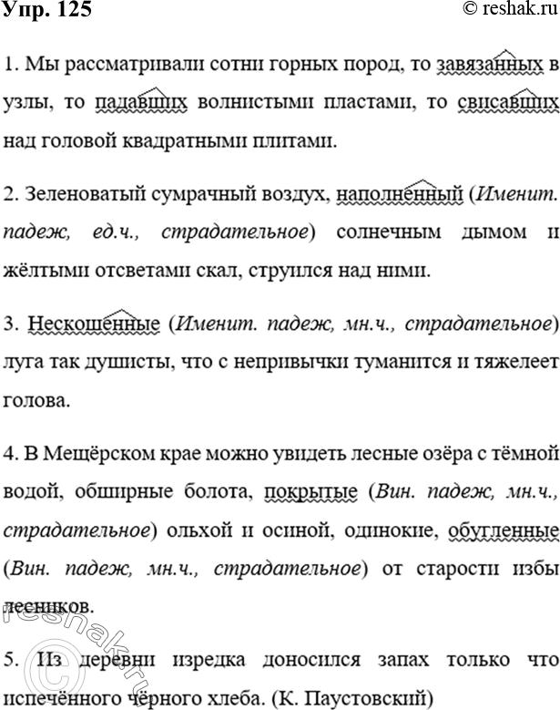 Земля стала похожа на гамак подвешенный над бездной тины