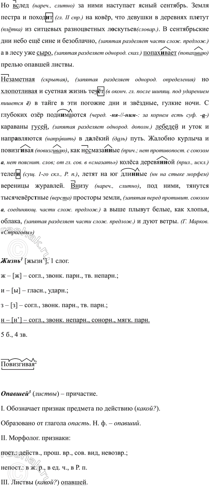 Дополнительное изображение