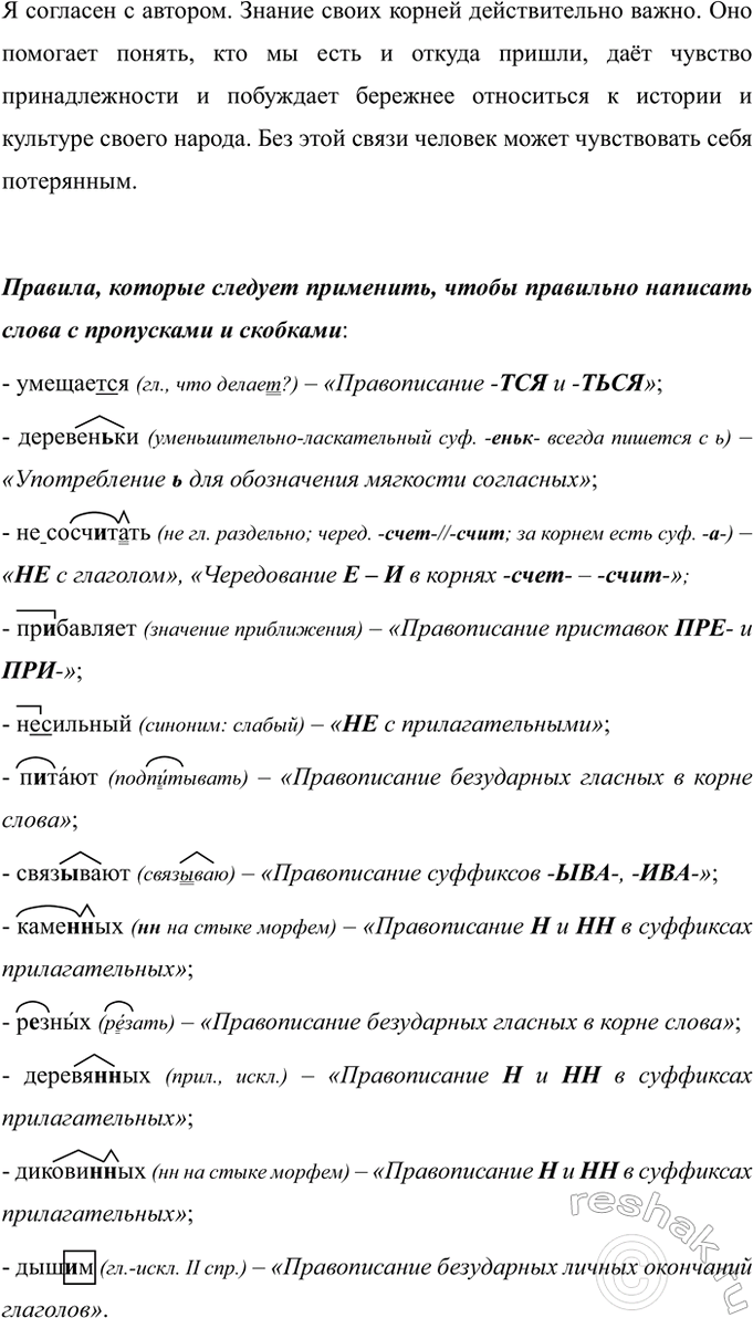 Дополнительное изображение