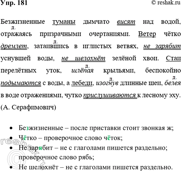 Упр 181 родной язык. Упр 181. Русский язык 7 класс упр 181. Упр 181 по русскому языку 5 класс. Русский язык 9 класс упр 181.