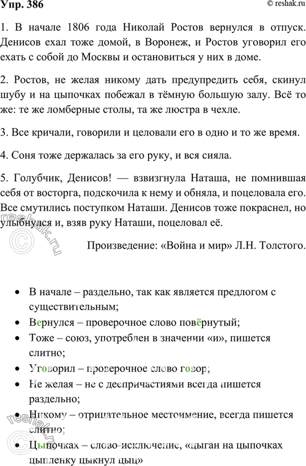 Николай не желая никого тревожить скинул шубу и побежал в темную большую комнату