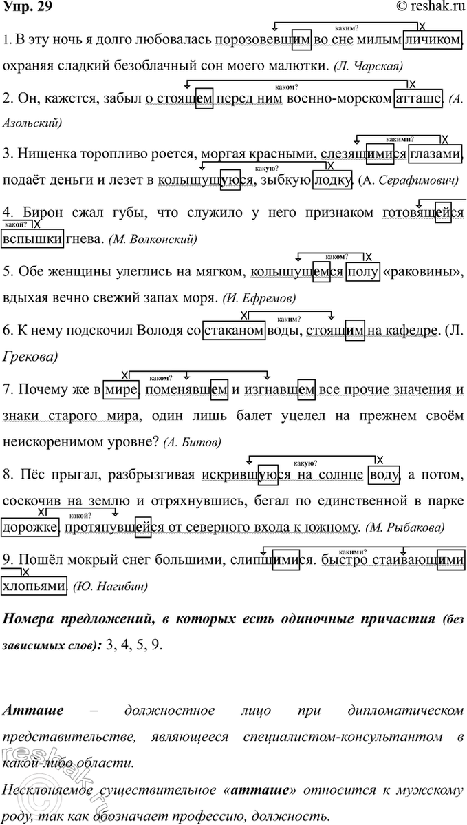 ����������� ���. 29��������� ������ �� ������������� ����� � ���������. �������� ����������� � ���������� ��������� �������. �������� ���������. ���� ��������� ����� ���������...