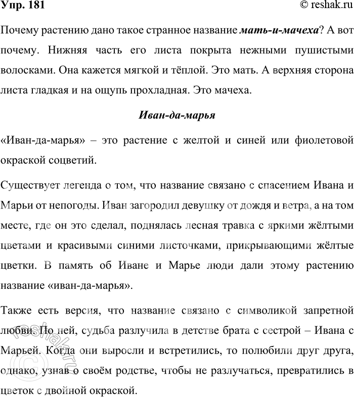 ����������� 181. �� ����� ��������. ������� �����, ����� ���������� ��� �����������. �� ������� ������� ���������� ��������� ����-������, ��������� �������� ������ �� �������� (��...