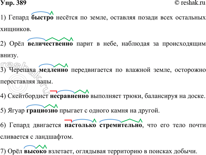 ����������� 389. ��� �����? �� ����������� ��������� � �������� ���� � ���� �����������, ��������� ������� ������ ��������, ���� � �������. ��������� ��������� ������ ����������...