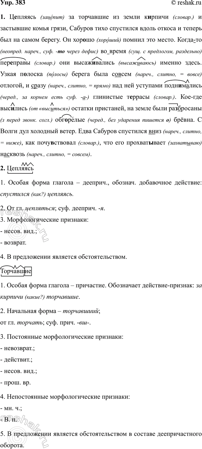 Изображение 383 РАССУЖДАЕМ НА ЛИНГВИСТИЧЕСКУЮ ТЕМУ  Прочитайте отрывок из сочинения ученика. Справедливо...