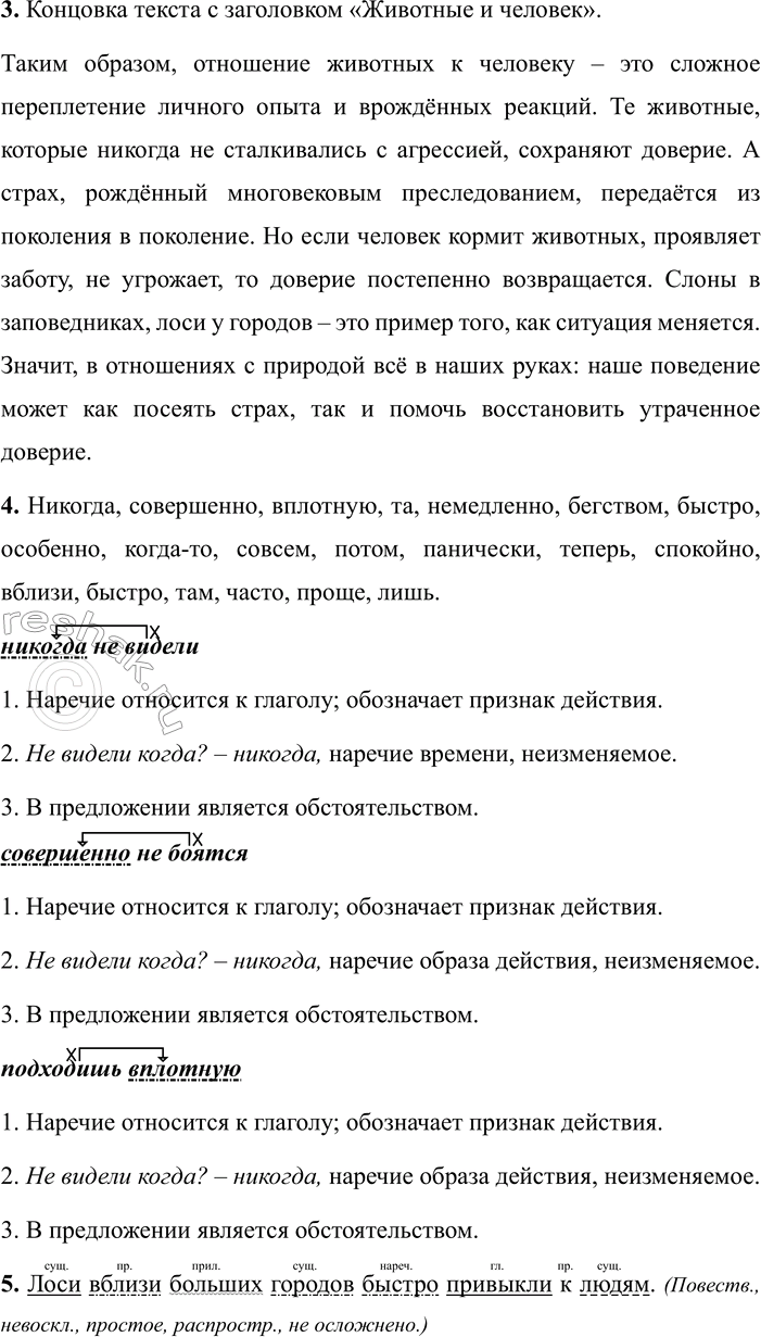 Дополнительное изображение