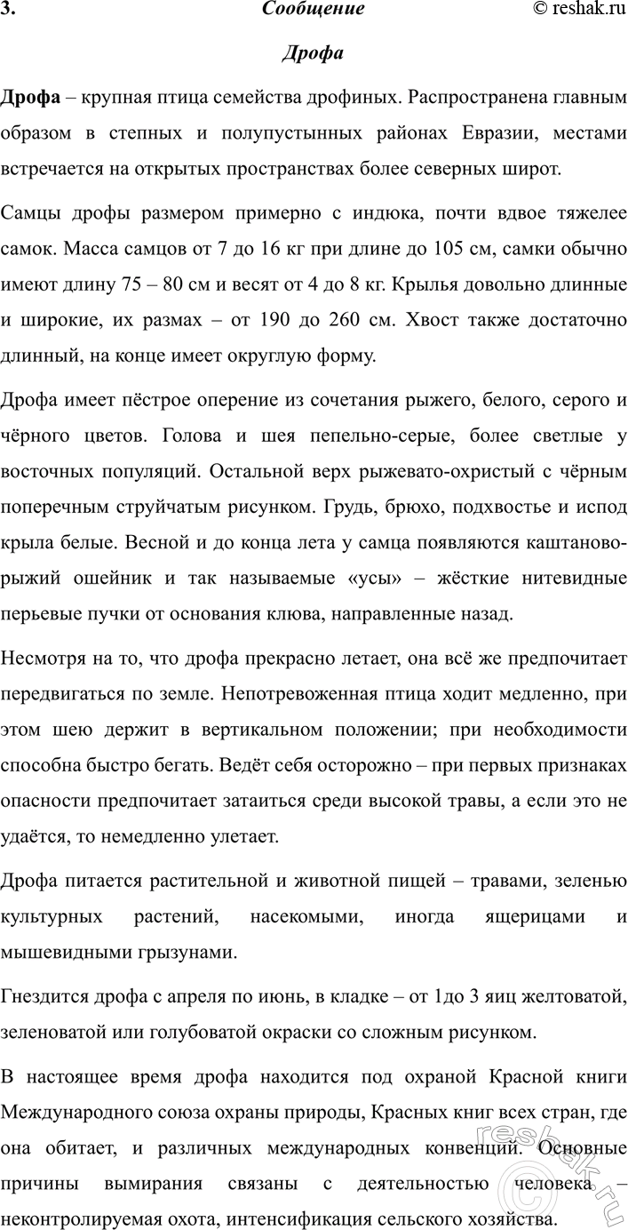 Дополнительное изображение