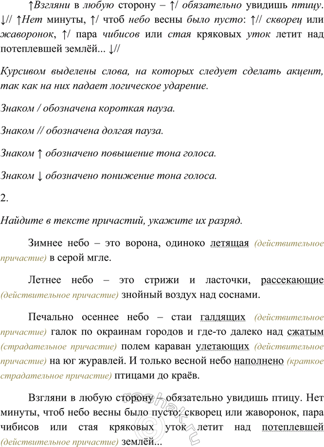 Дополнительное изображение