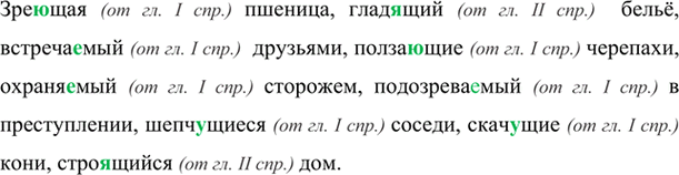Изображение Зре..щая пшеница, гладящий бельё, встречаемый друзьями, ползающие черепахи, охраняемый...