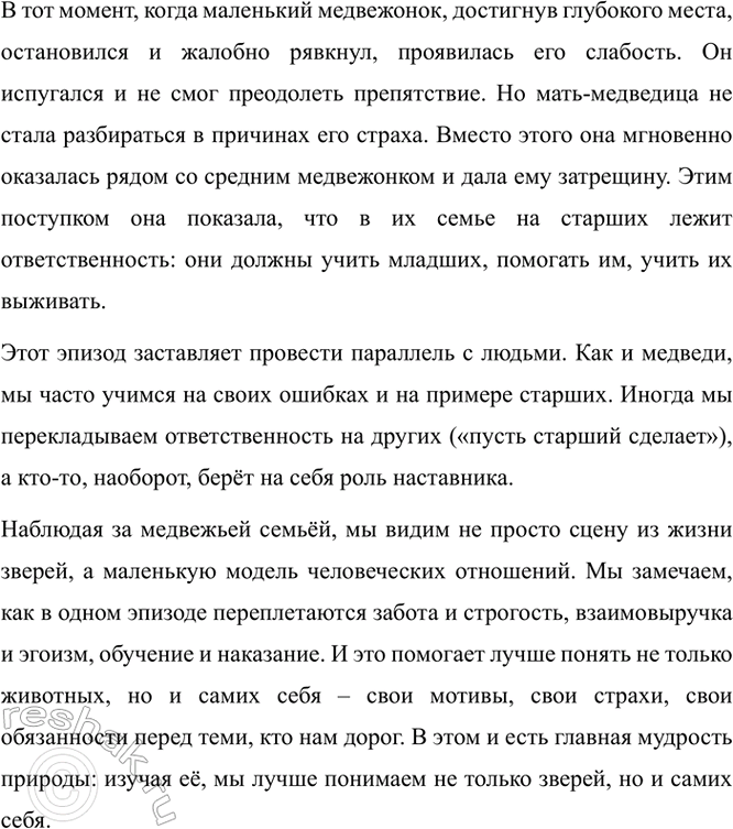 Дополнительное изображение