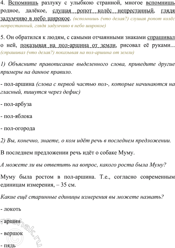 Дополнительное изображение