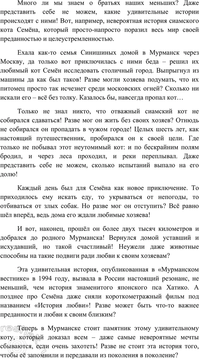 Изображение В Мурманске поставлен памятник коту Семёну, который прошёл более 2000 км, чтобы вернуться к...