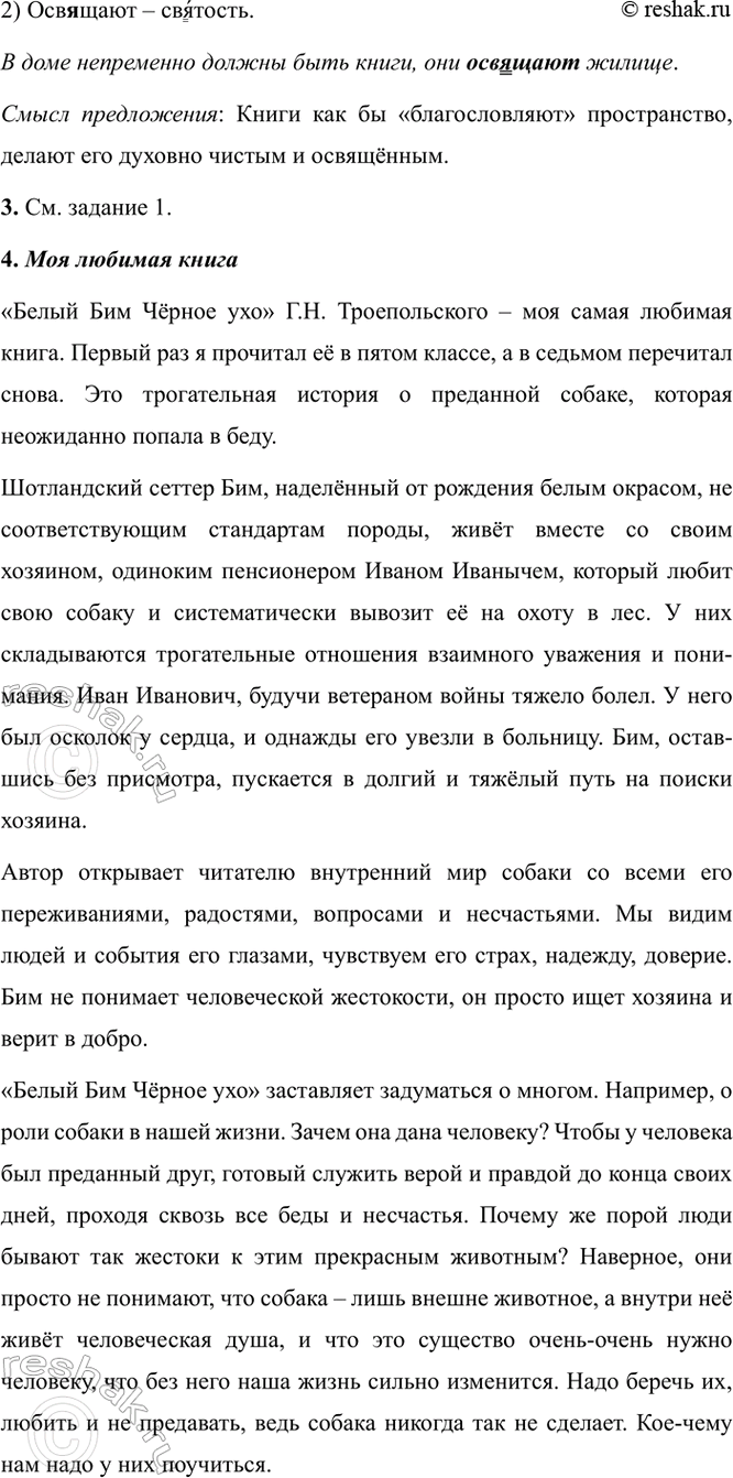 Дополнительное изображение