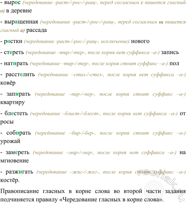 Дополнительное изображение