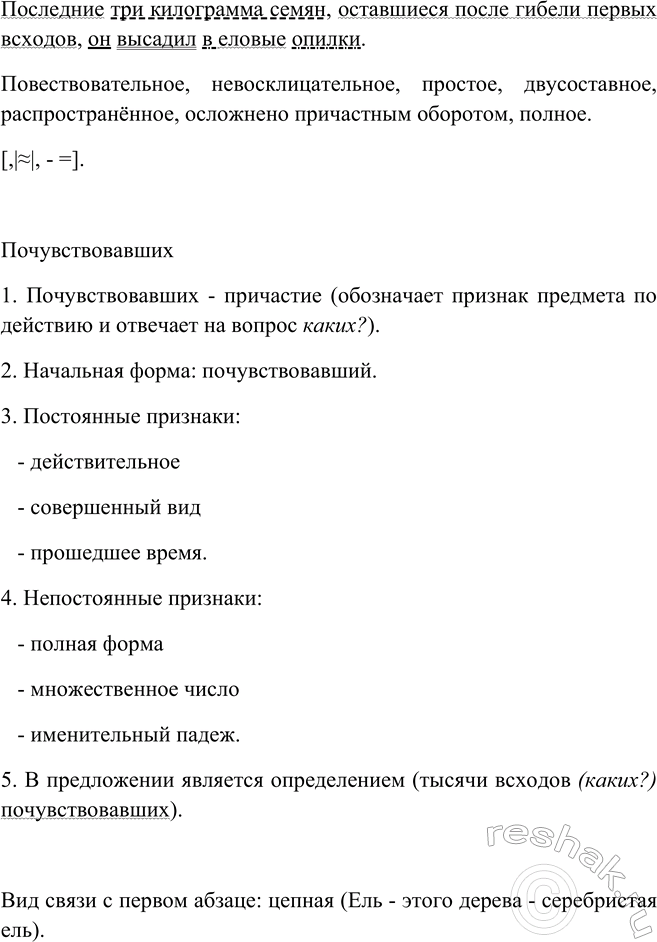 Дополнительное изображение
