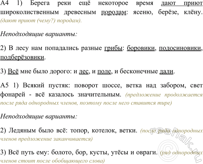 Дополнительное изображение