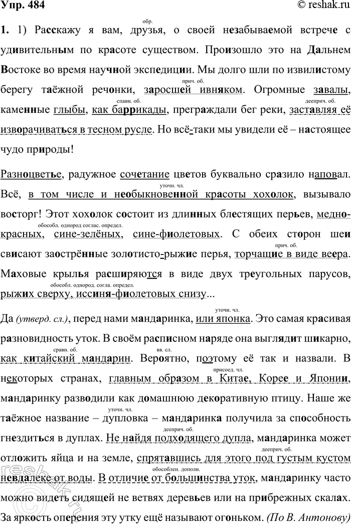 ����������� 484. 1. �������, �������� ����������� ����� � ��������� ������. ���������� ��� �������������� �����������, ����������� ������� �����������. ��������� ���������� ������...