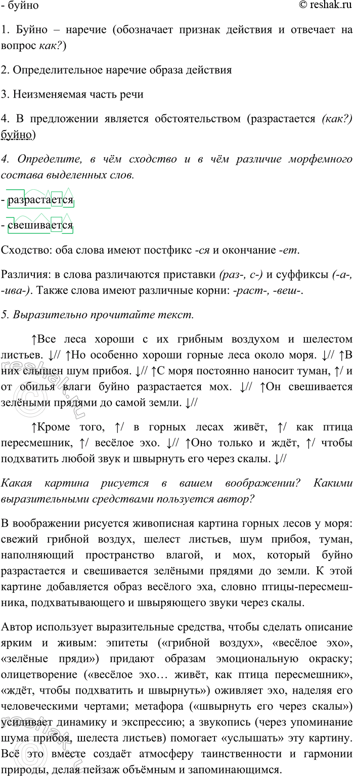 Дополнительное изображение