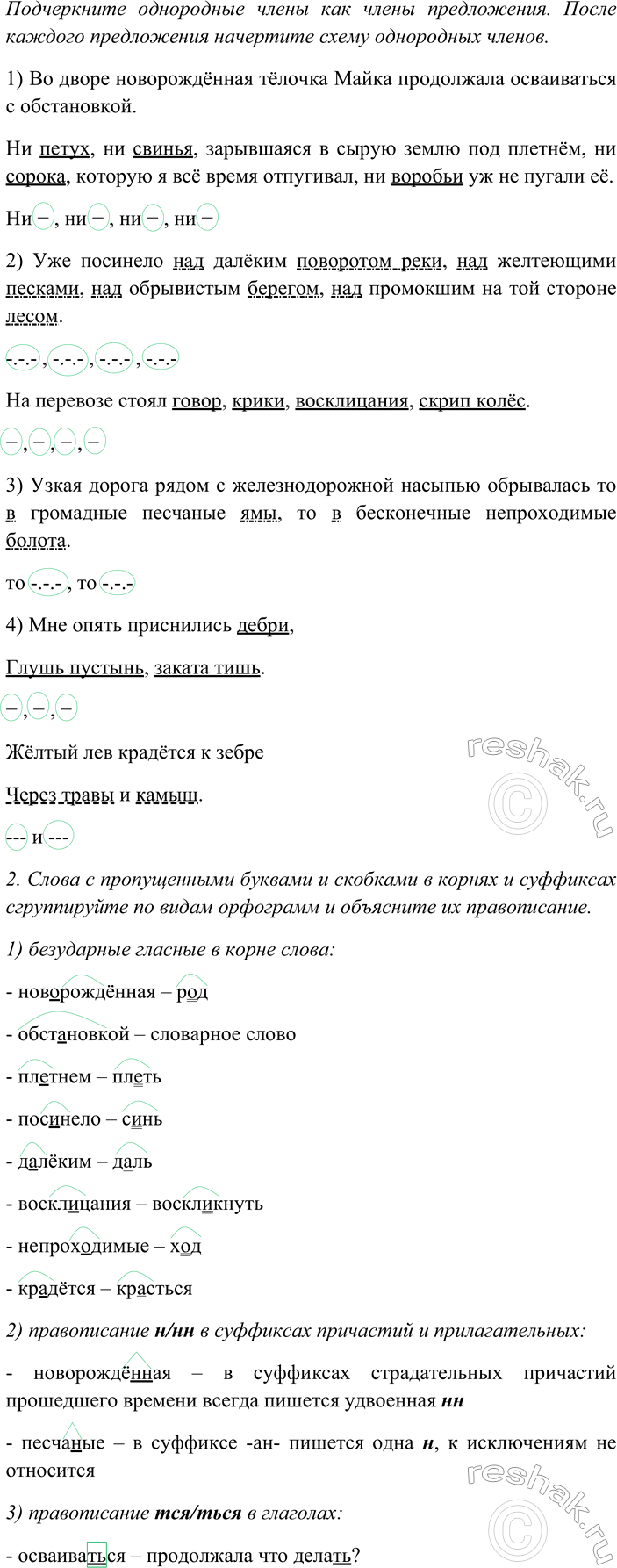 Дополнительное изображение