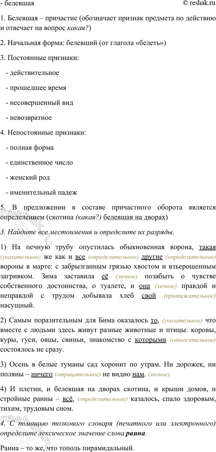 Дополнительное изображение