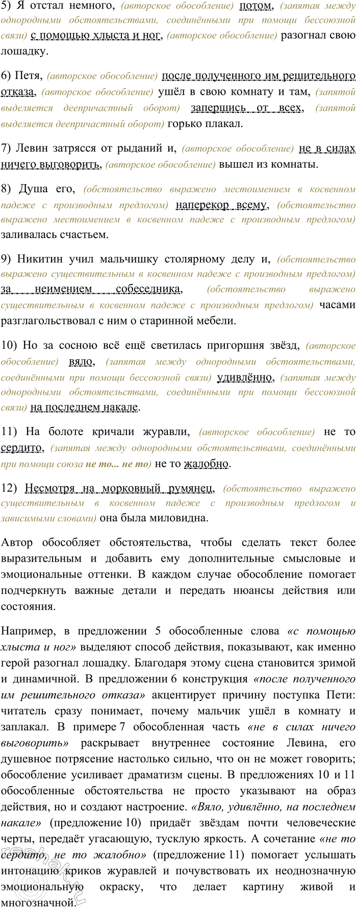 Дополнительное изображение