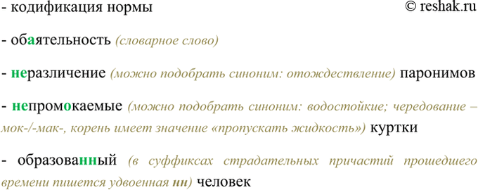 Изображение Кодификация нормы, об..ятельность, (не)различение паронимов, (не)пром..каемые куртки,...